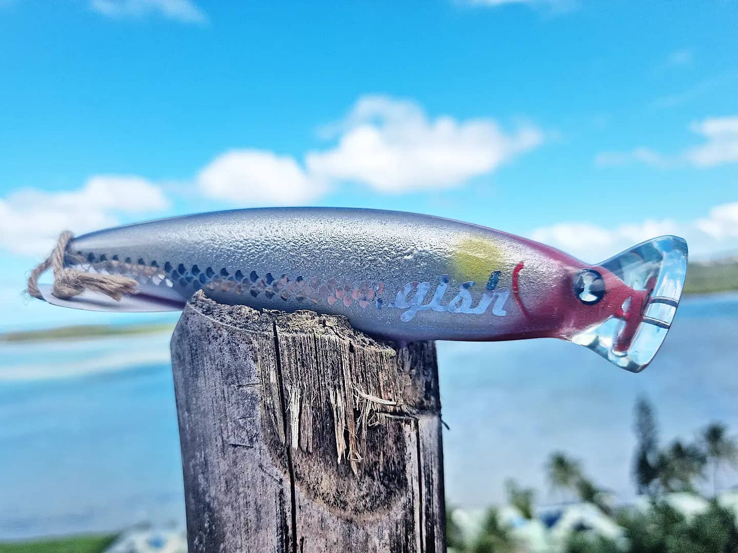 Gish Lure Spy Popper