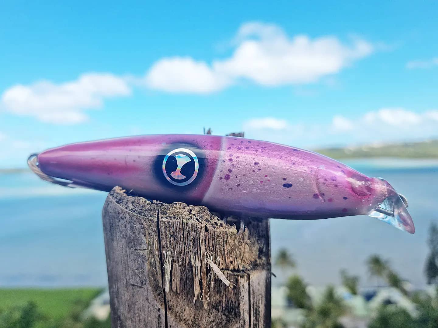 Gish Lure GT Sticker