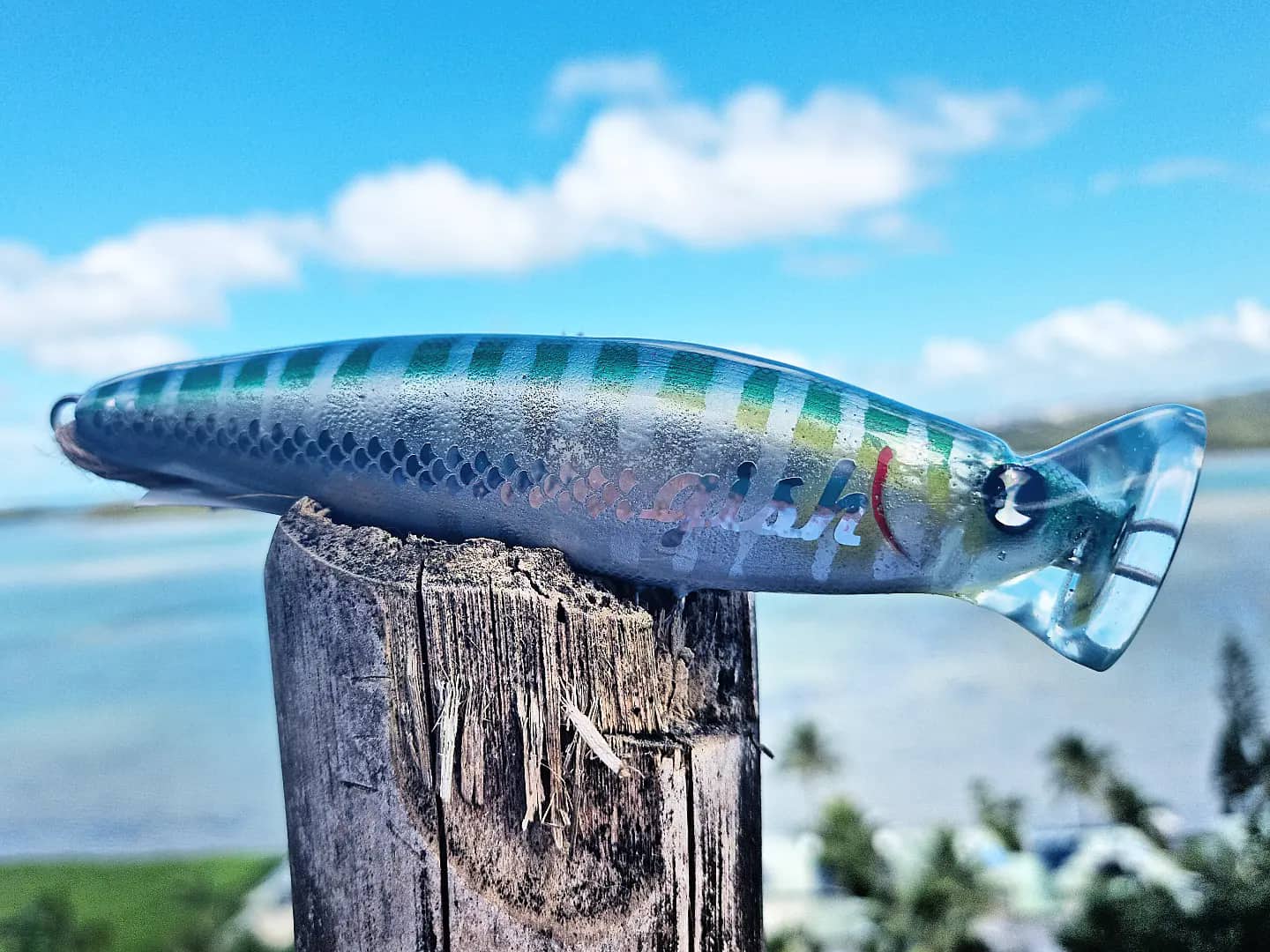 Gish Lure Spy Popper