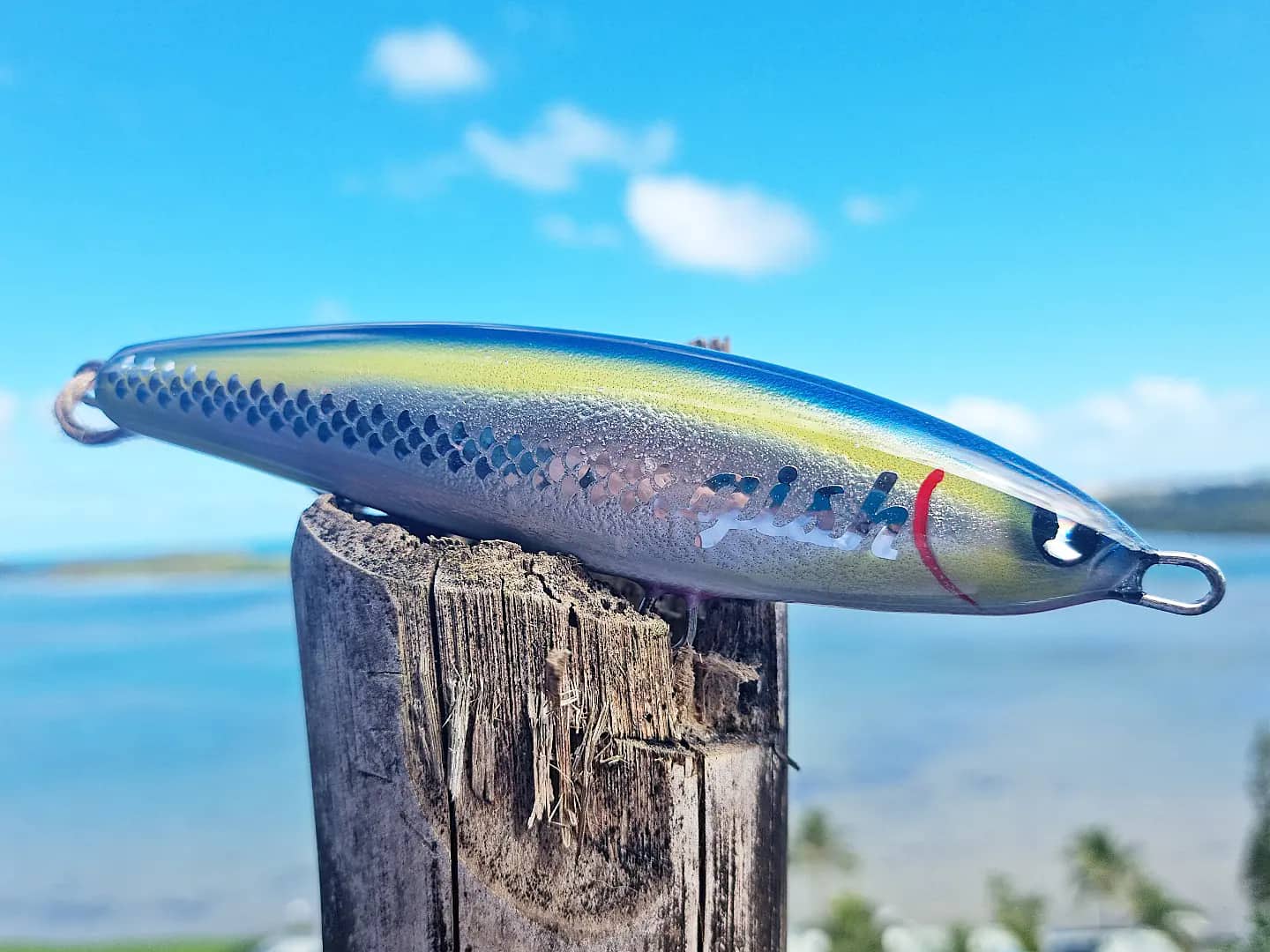 Gish Lure GT Magnet Lipless
