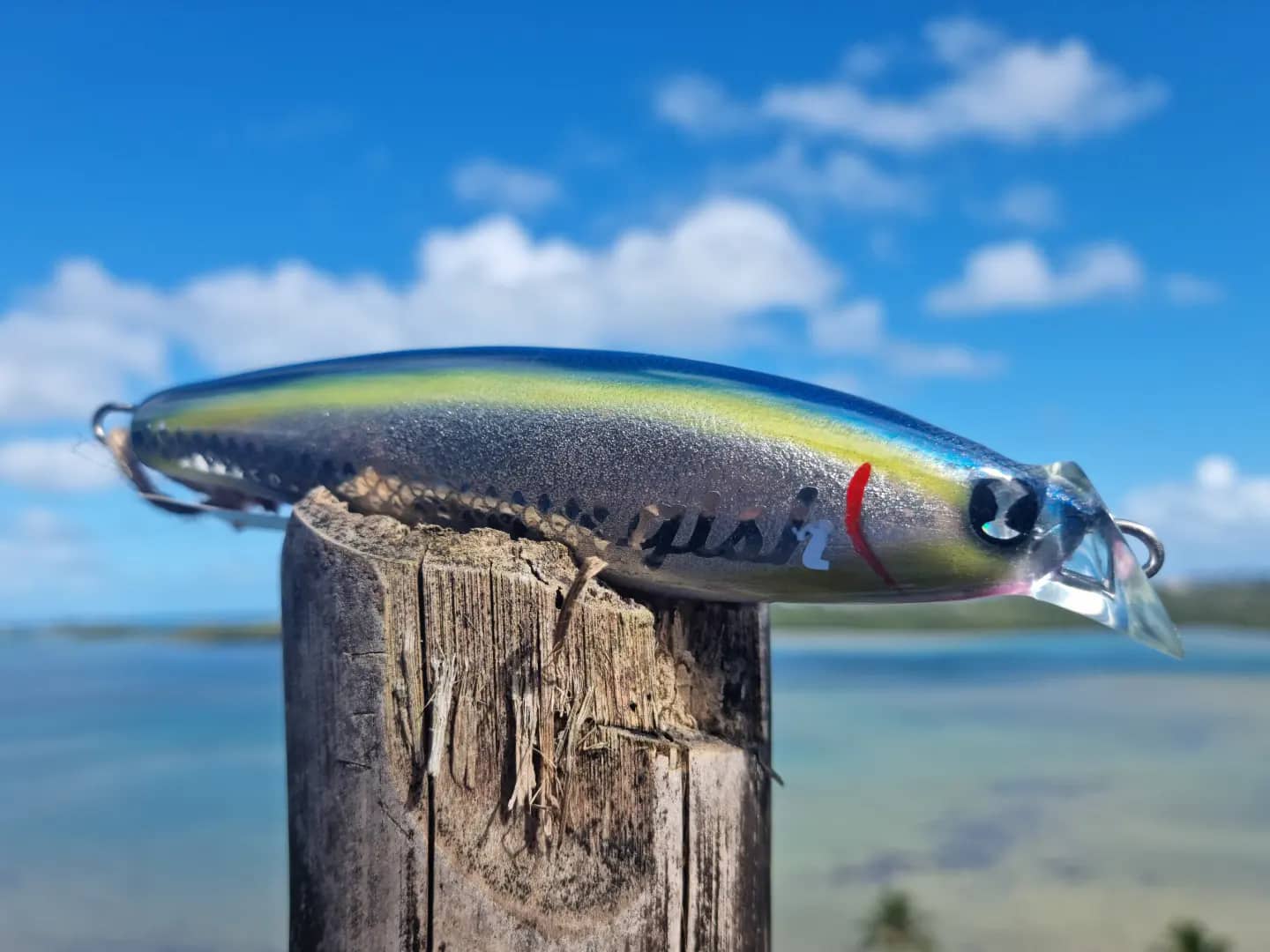 Gish Lure GT Sticker
