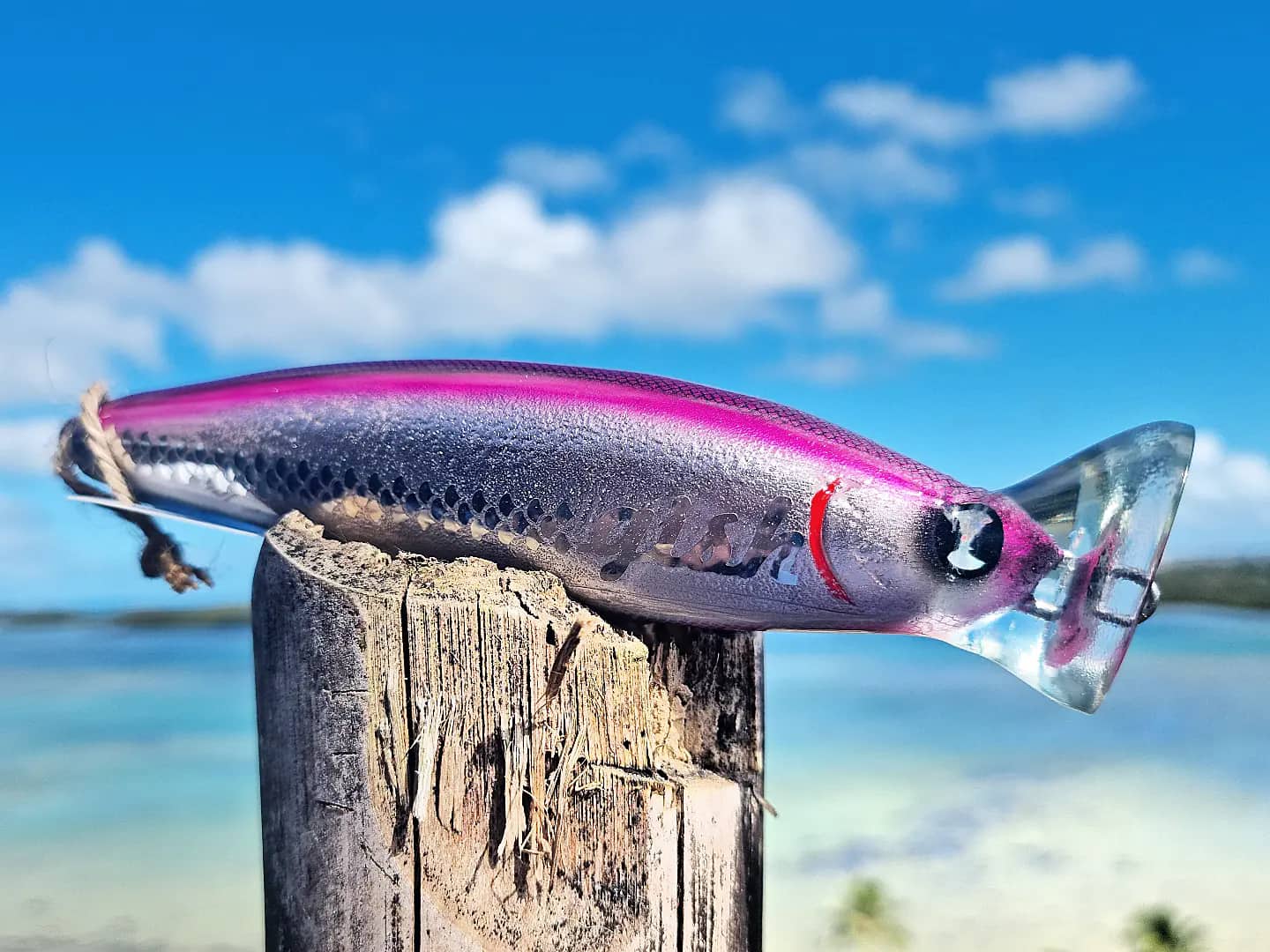 Gish Lure Spy Popper