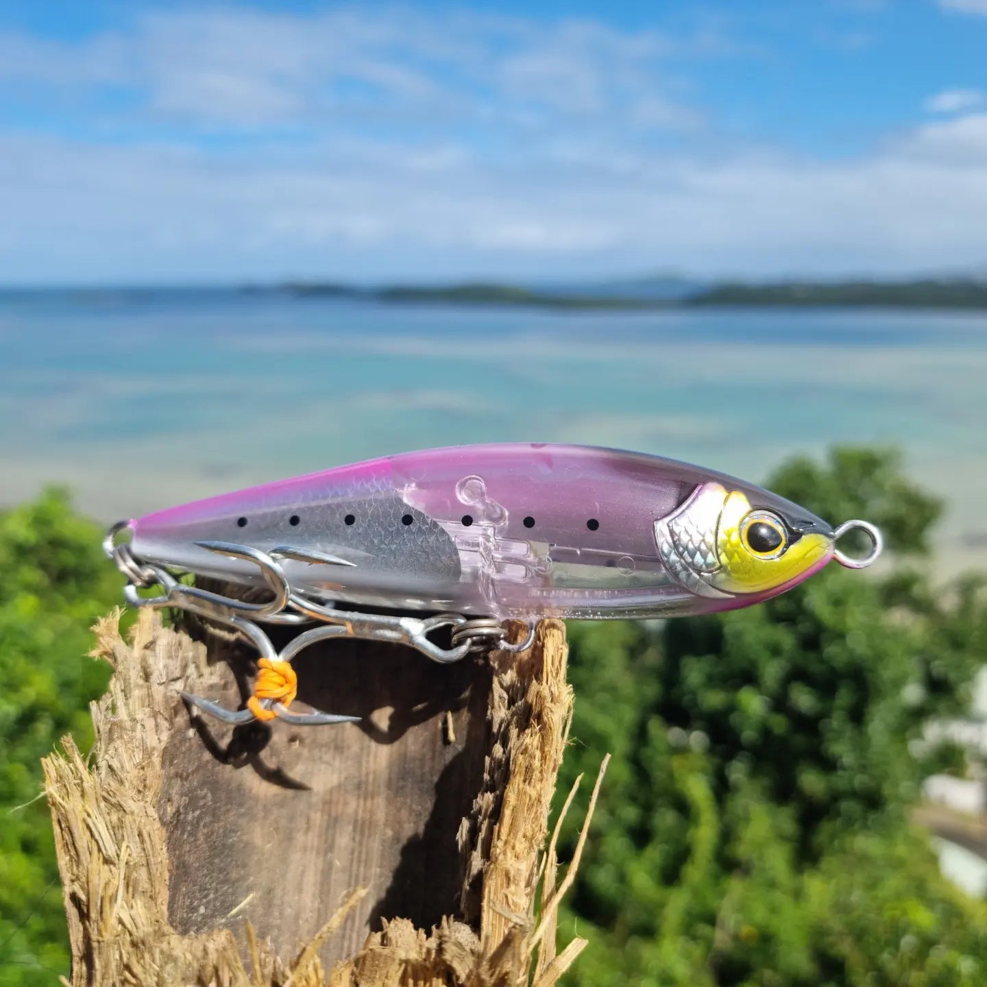 SHIMANO Head Dip