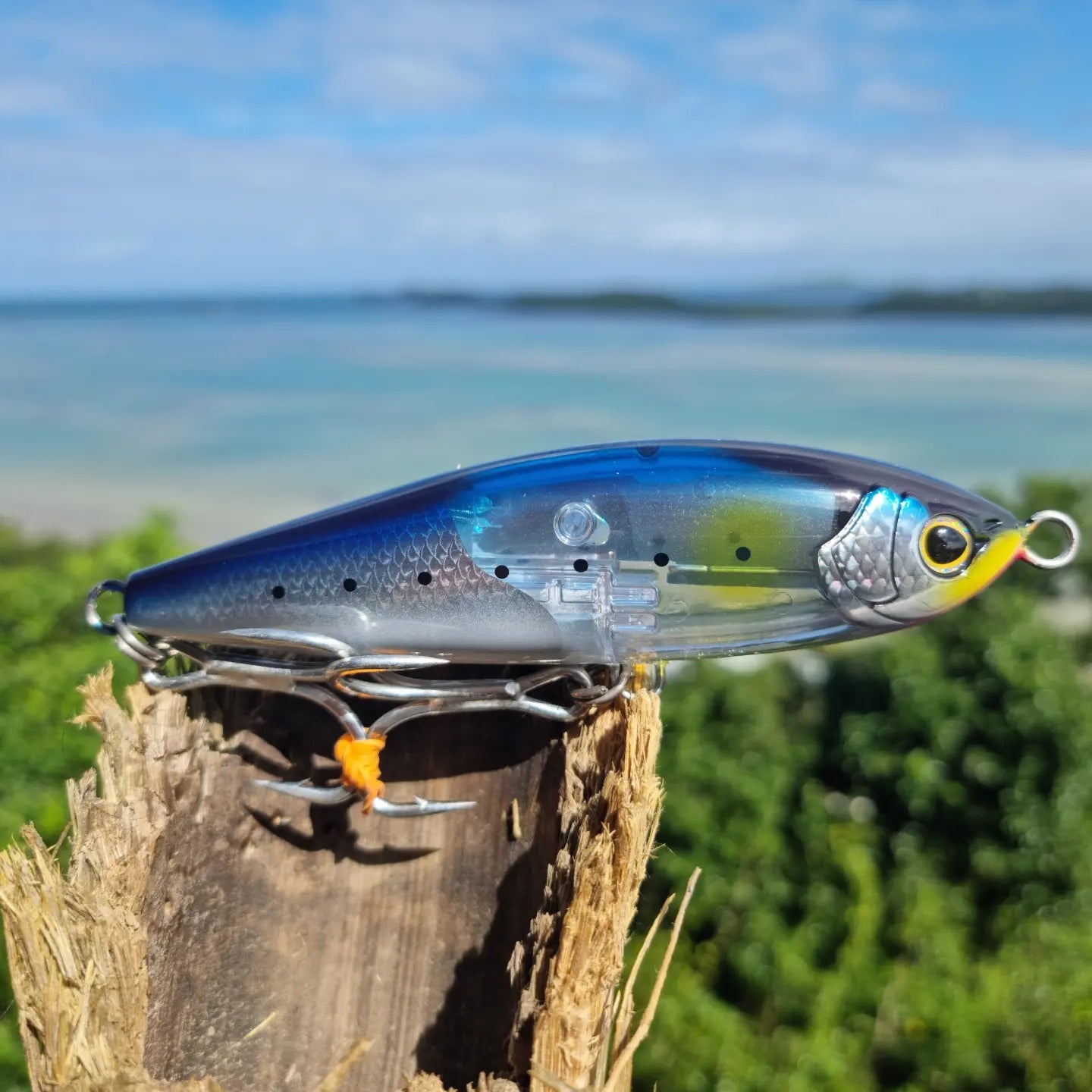 SHIMANO Head Dip