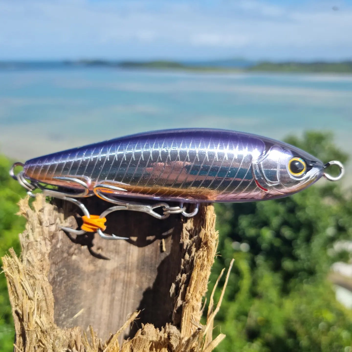 SHIMANO Head Dip