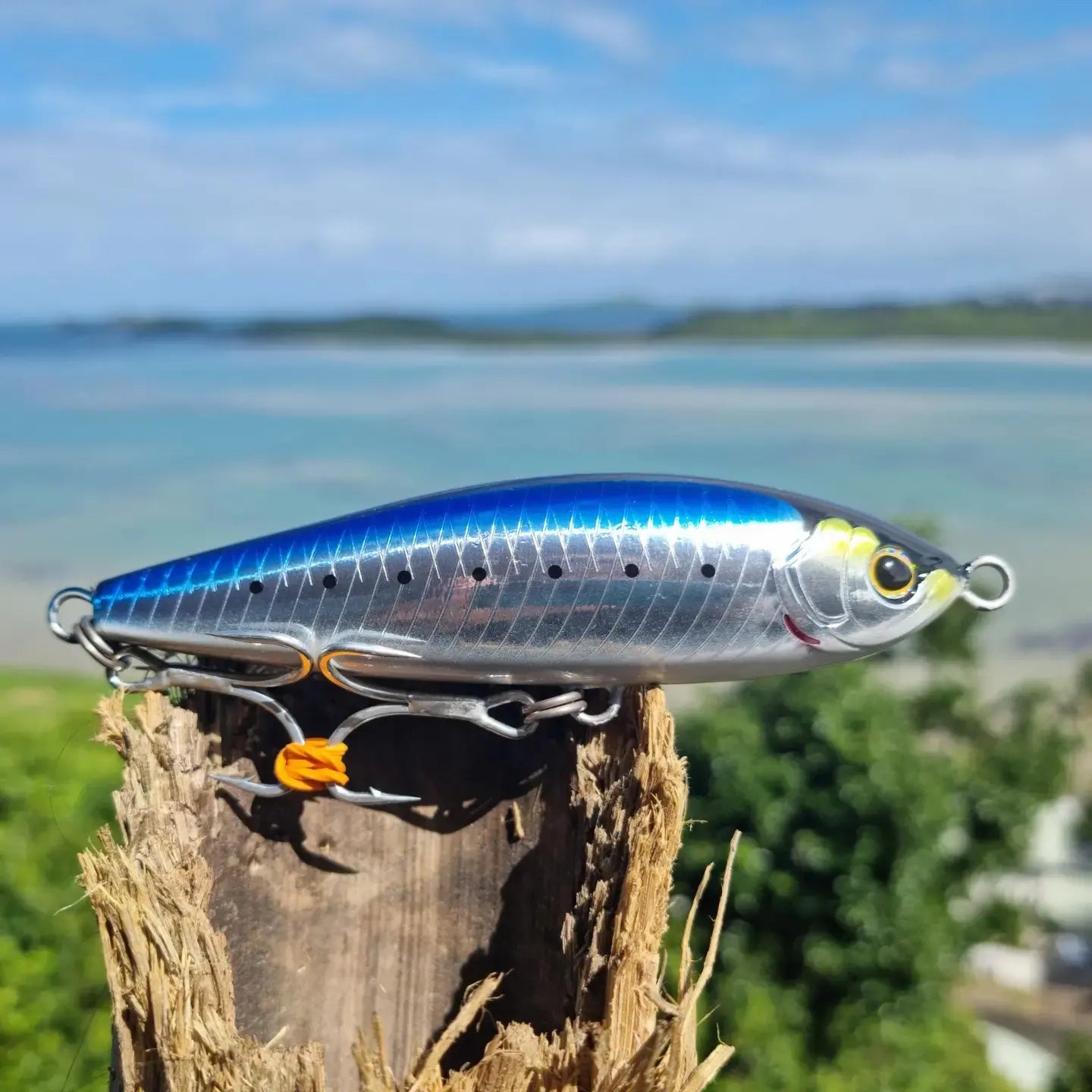 SHIMANO Head Dip