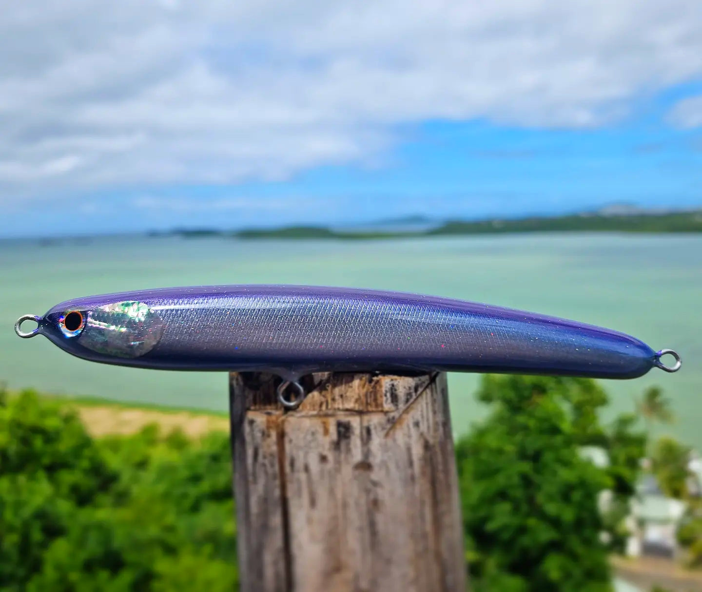GPC Lures HN220