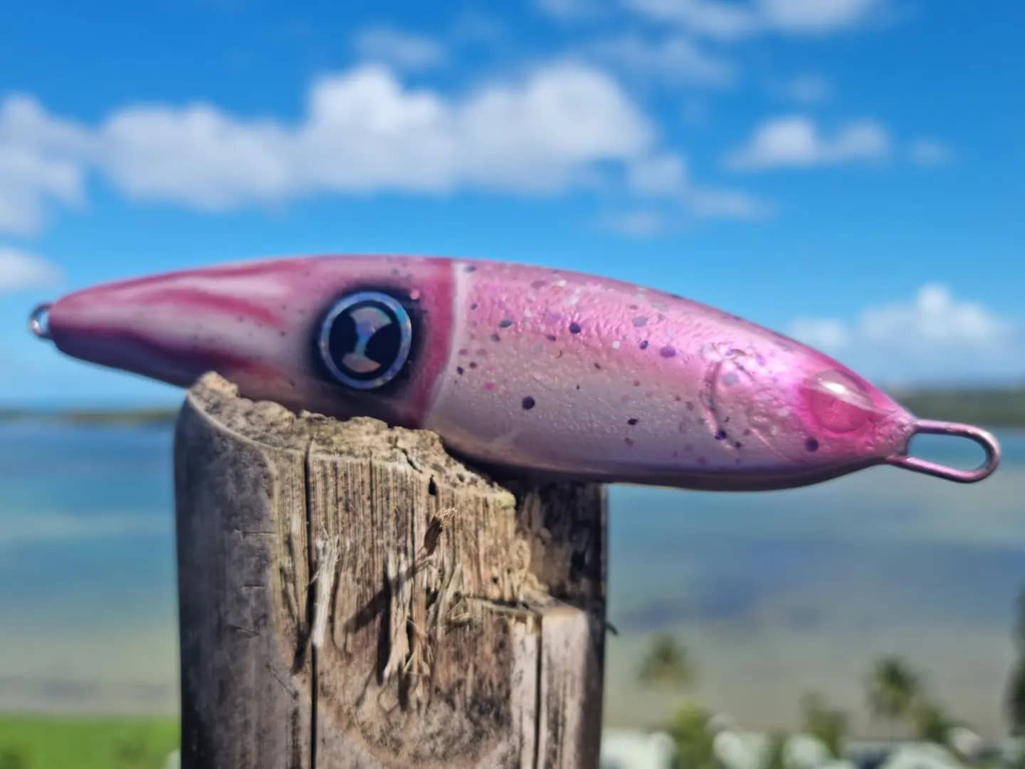 Gish Lure GT Magnet Lipless