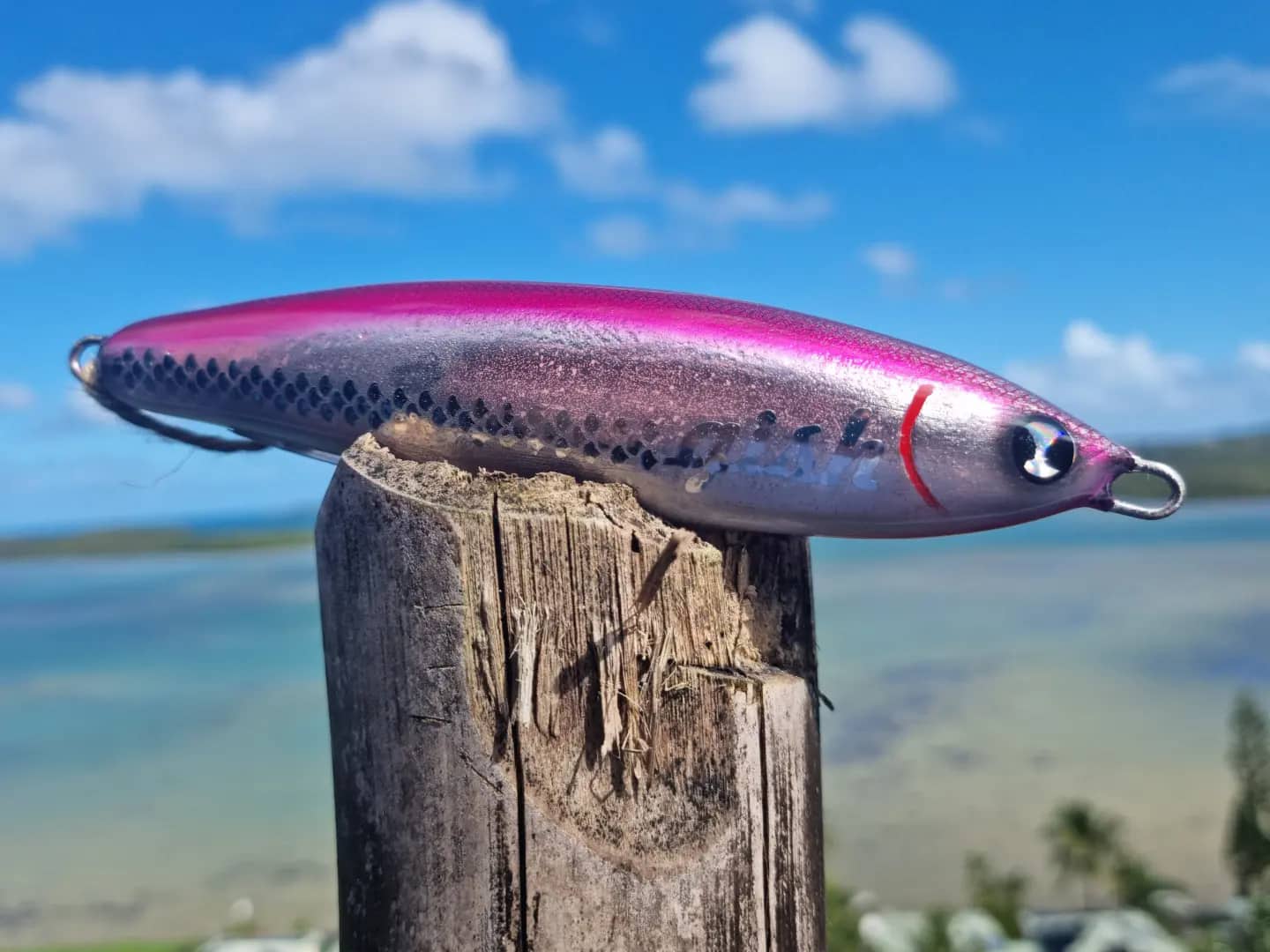 Gish Lure GT Magnet Lipless