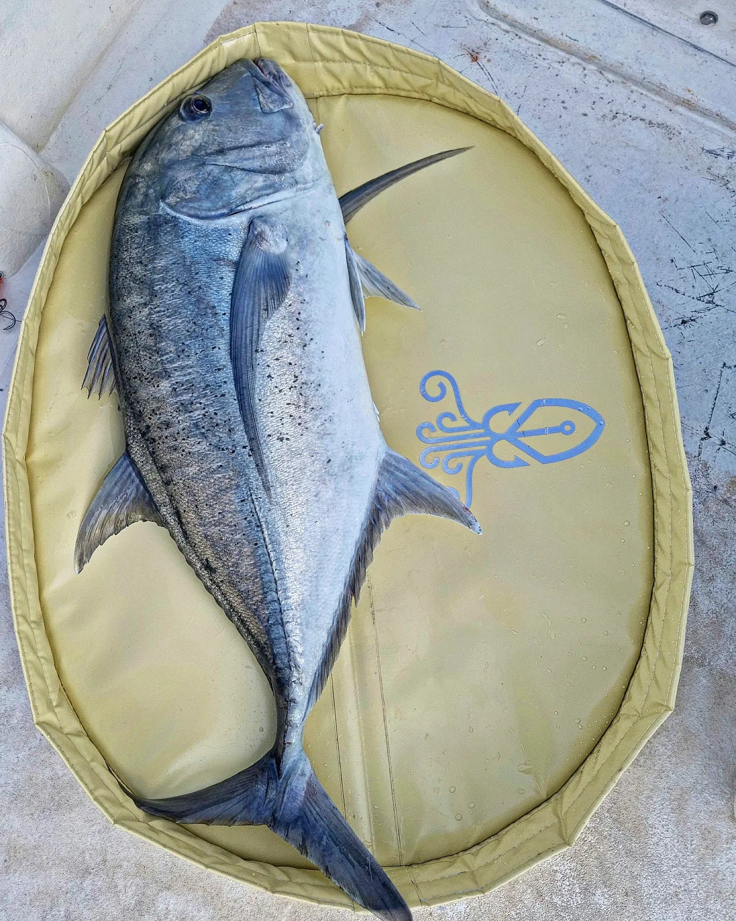 Tapis de réception