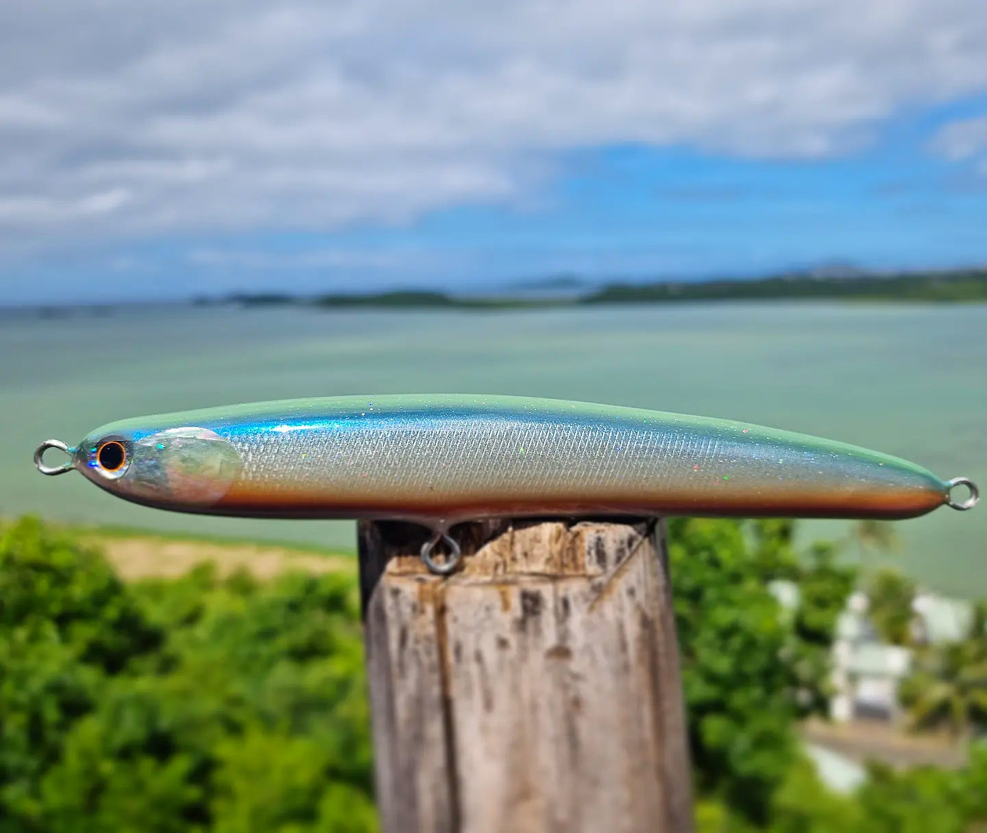 GPC Lures HN220